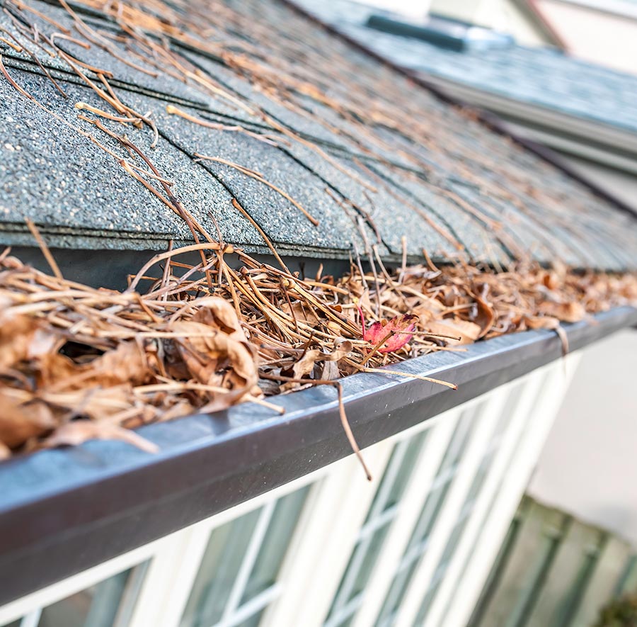 clogged gutter